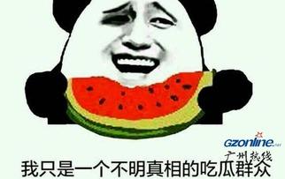 吃瓜表情啥意思是什么,网络热词背后的文化内涵